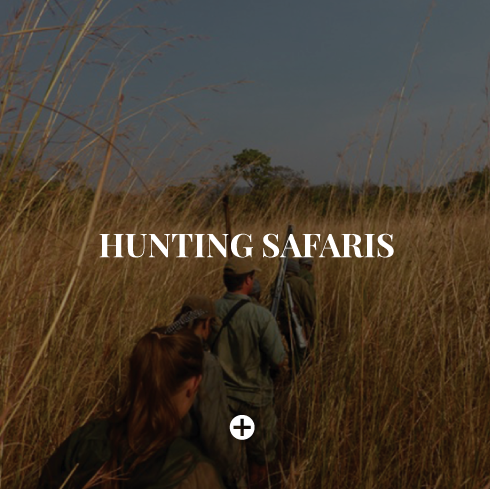 hunting-safaris
