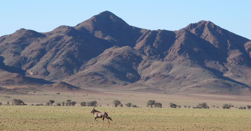 namibia-photographic-safaris